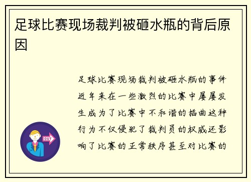 足球比赛现场裁判被砸水瓶的背后原因