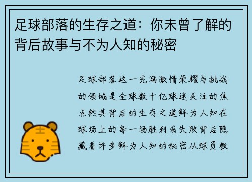 足球部落的生存之道：你未曾了解的背后故事与不为人知的秘密